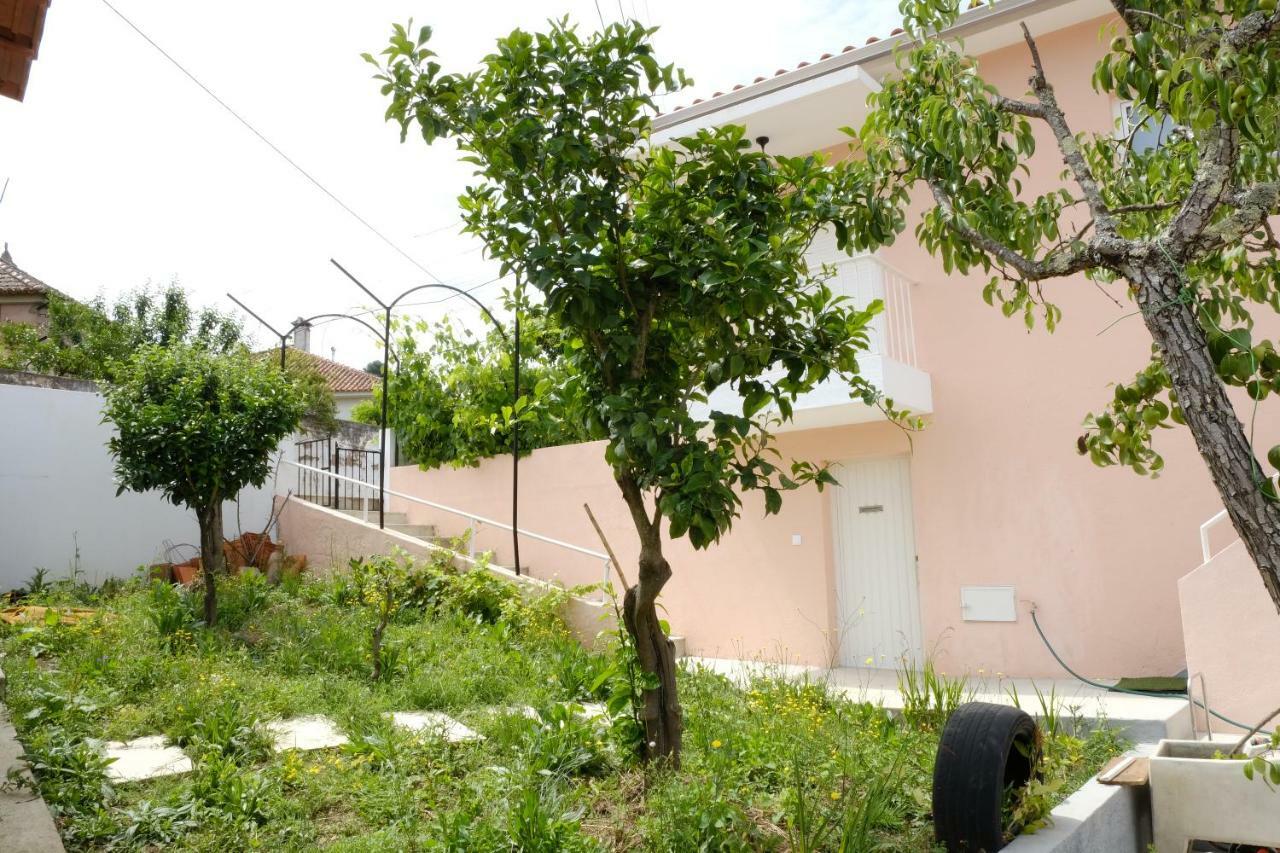 Vale Coelhos Casa De Campo Sarnadela Exterior foto
